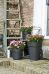green basics top planter 23cm living black